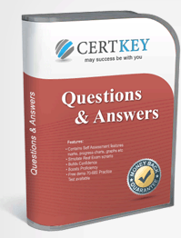 PEGACPBA74V1 Questions and Answers